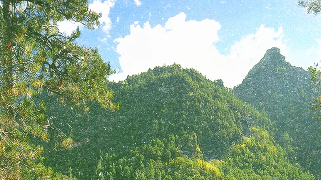 Voés Festival 2025 με Νατάσσα Μποφίλου, Δημήτρη Μυστακίδη, Μάρθα Φριντζήλα, 1000MODS και τη Judy να... αγνοείται