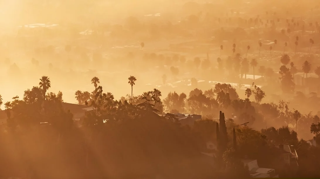 Bunny Museum: Το πιο ασυνήθιστο μουσείο του Λος Άντζελες δεν υπάρχει πια