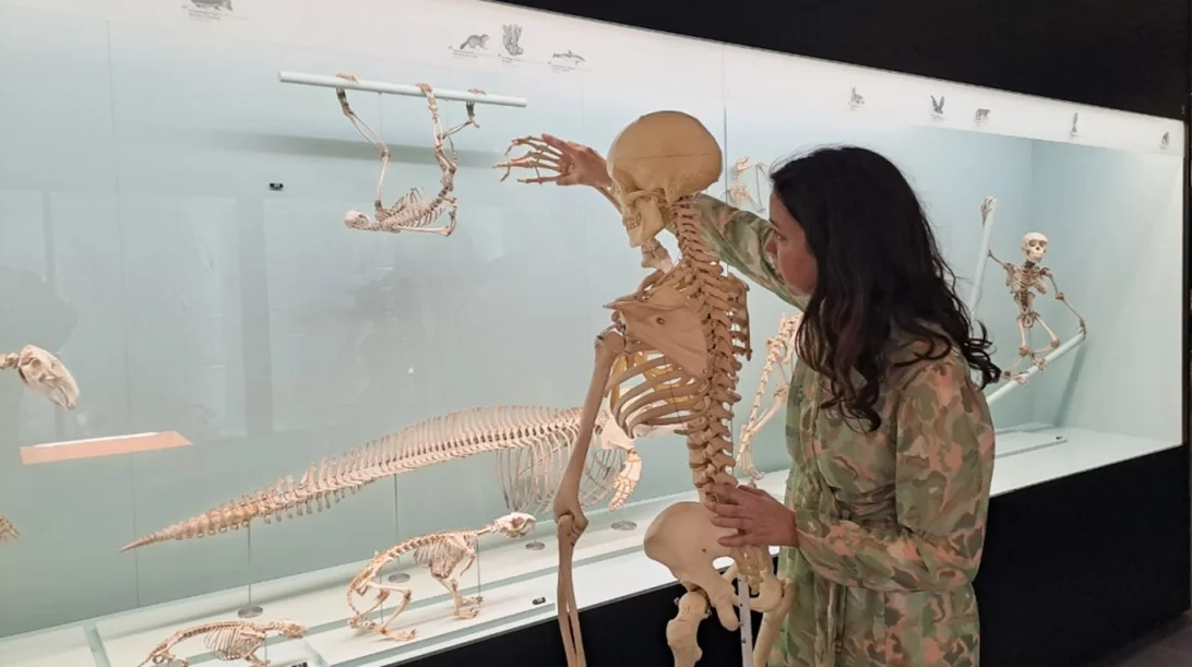 "deadLines": Η περφόρμανς που εξερευνά την επιτάχυνση της ζωής στην Ευρώπη