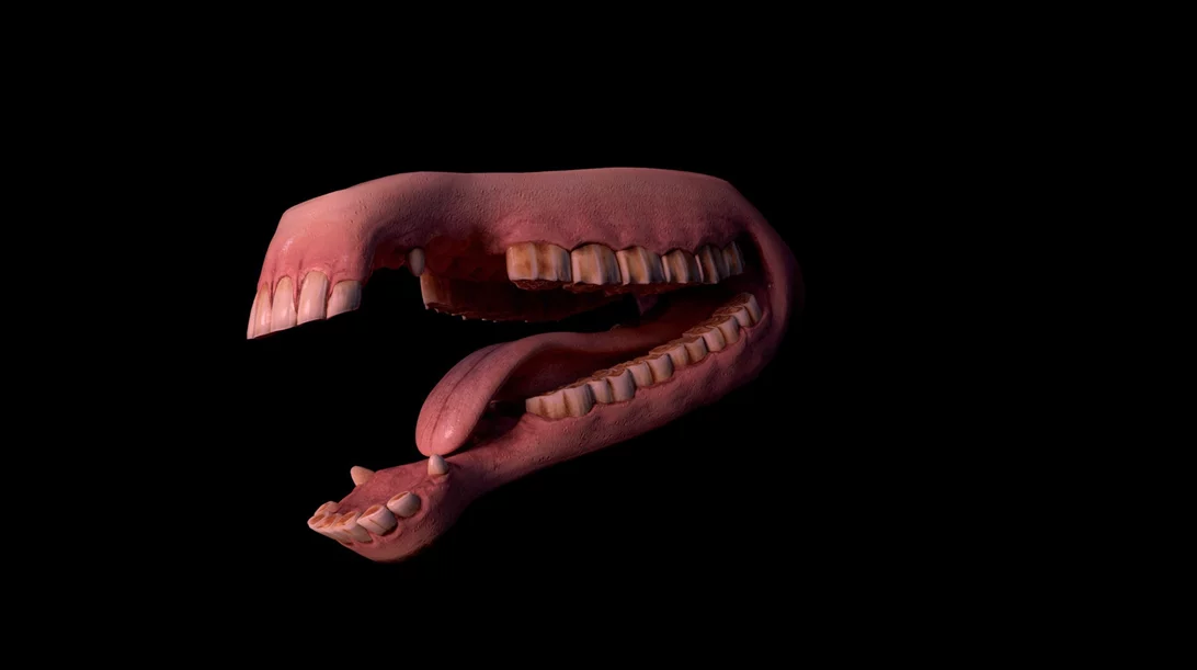 Τι είναι το "συλλογικό γουργουρητό" που ηχεί στο Κτίριο "Νόμπελ";