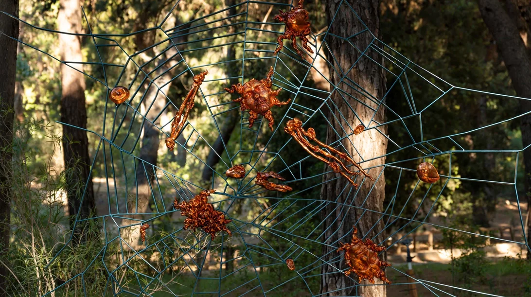 Παράταση για την έκθεση "Shinrin-yoku" στον Βοτανικό Κήπο Διομήδους
