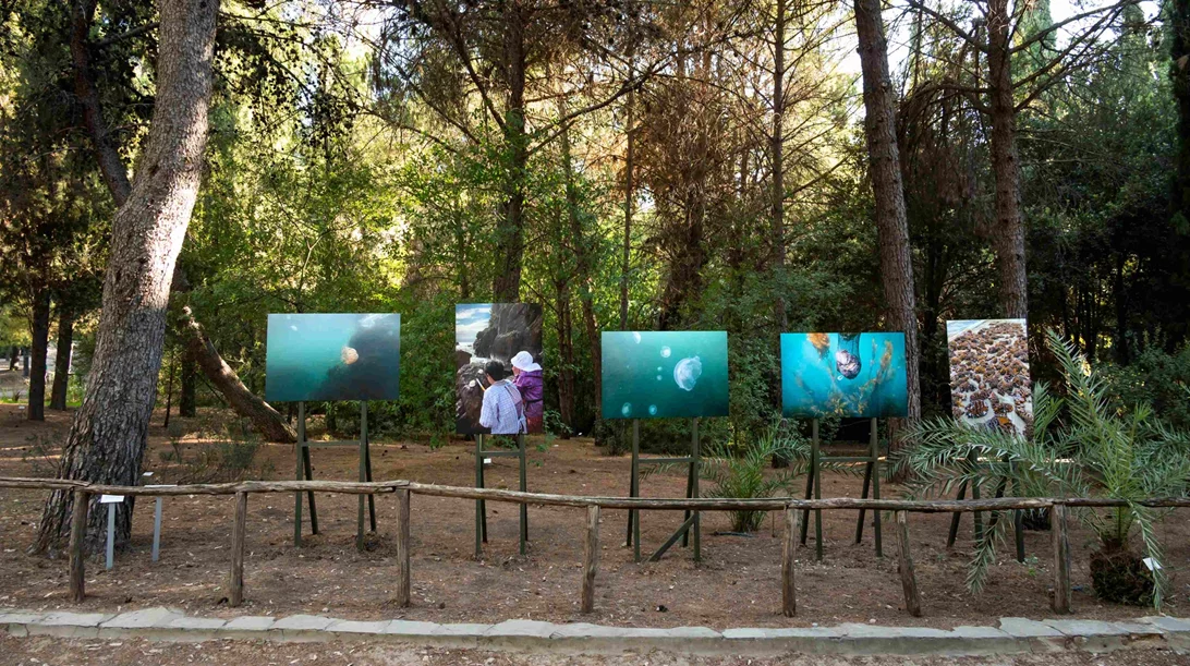 10 εκθέσεις που θα μας απαλλάξουν από τον καύσωνα