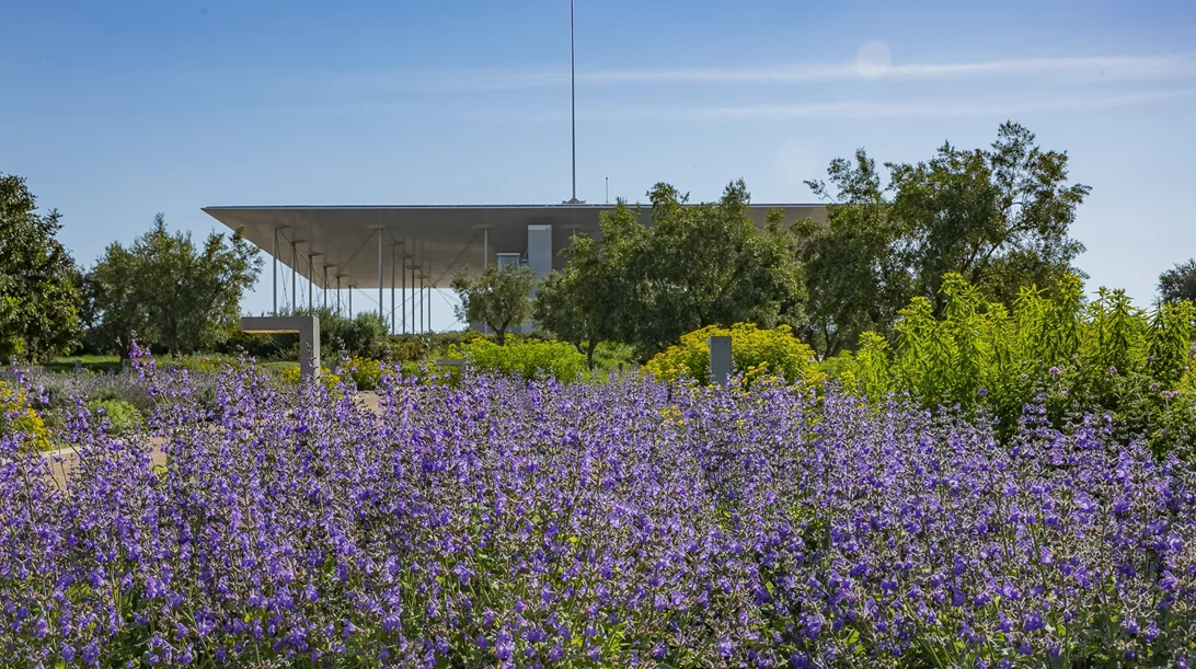 Τα δωρεάν της εβδομάδας: Τρεις αφορμές για να (ξανα)πας στο "Νιάρχος"