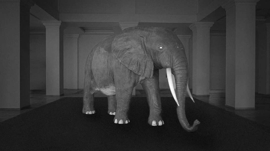 Τι είναι το σύνδρομο "άδειας φωλιάς" και πώς συνδέεται με την απώλεια;