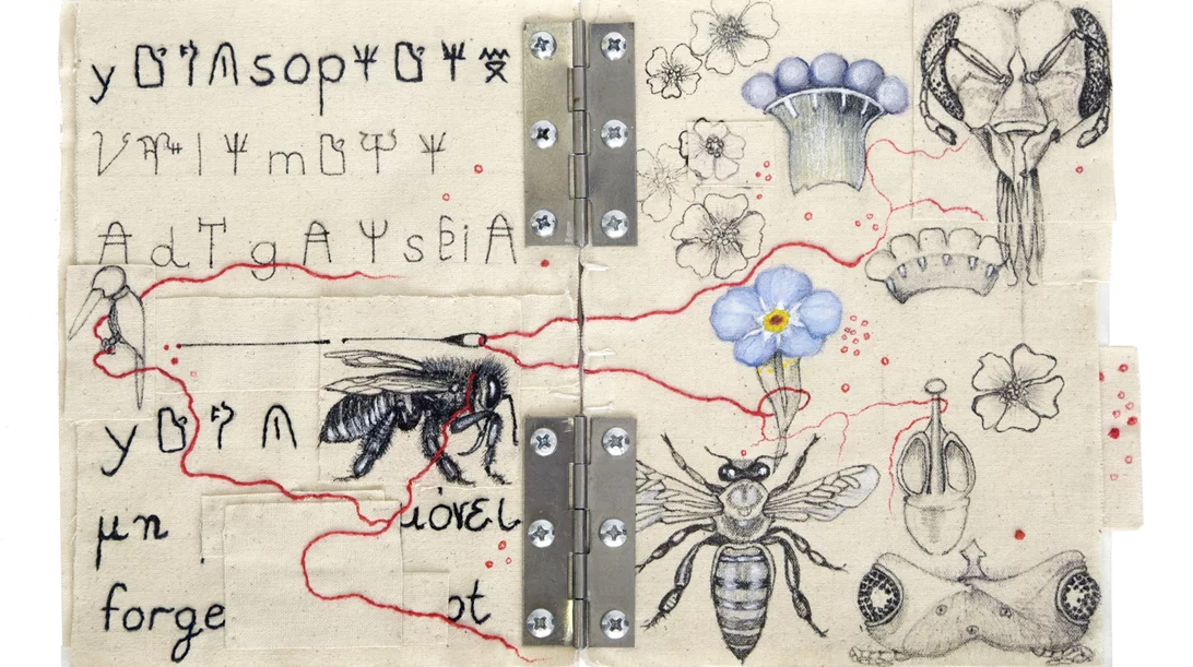 Η οικολογία συναντά τη σύγχρονη τέχνη στην Πινακοθήκη Δήμου Αθηναίων