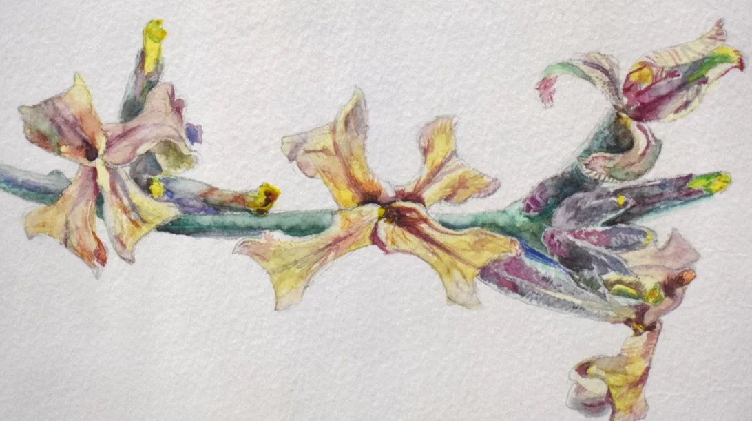 "Μαρμαρυγή": Πώς η τέχνη απαθανατίζει το μεγαλείο της φύσης