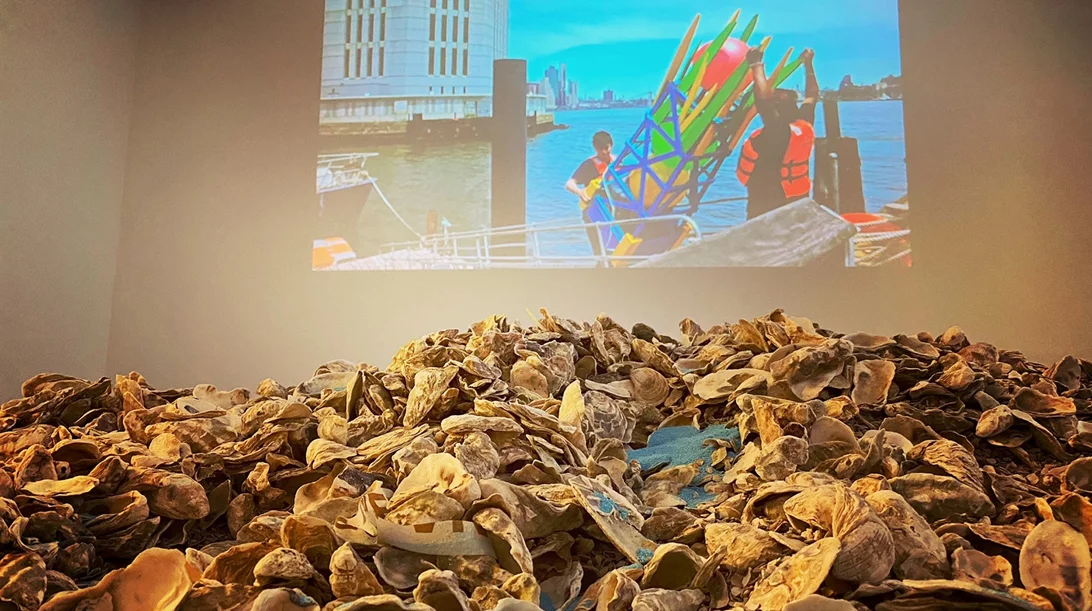 "Space for Marine Species": Μια έκθεση για την ισότητα και τη συστηματική περιβαλλοντική καταστροφή