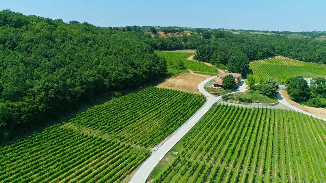 Εξερευνώντας τα ωραιότερα οινοποιεία της Βόρειας Ελλάδας