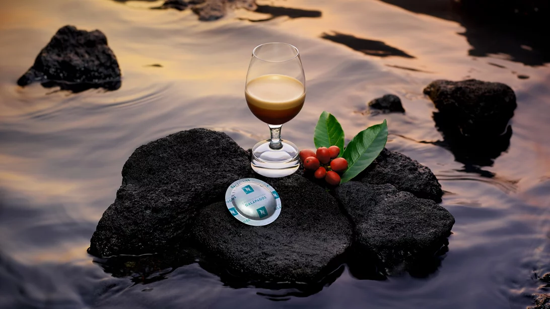 Υψηλή γαστρονομία και καφές: αρώματα και γεύσεις που συνδυάζονται