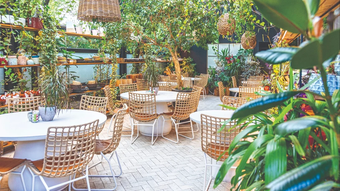 "Lefkes on the side": Στον… Τροπικό του Γαλατσίου