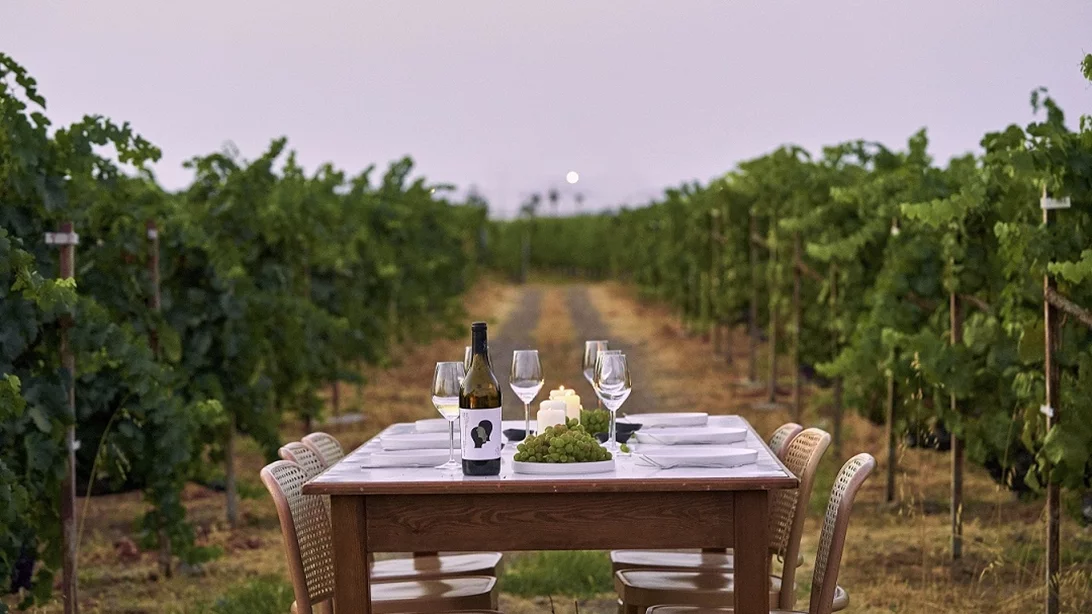 Και όμως η Κως έχει (και) Κρασί!