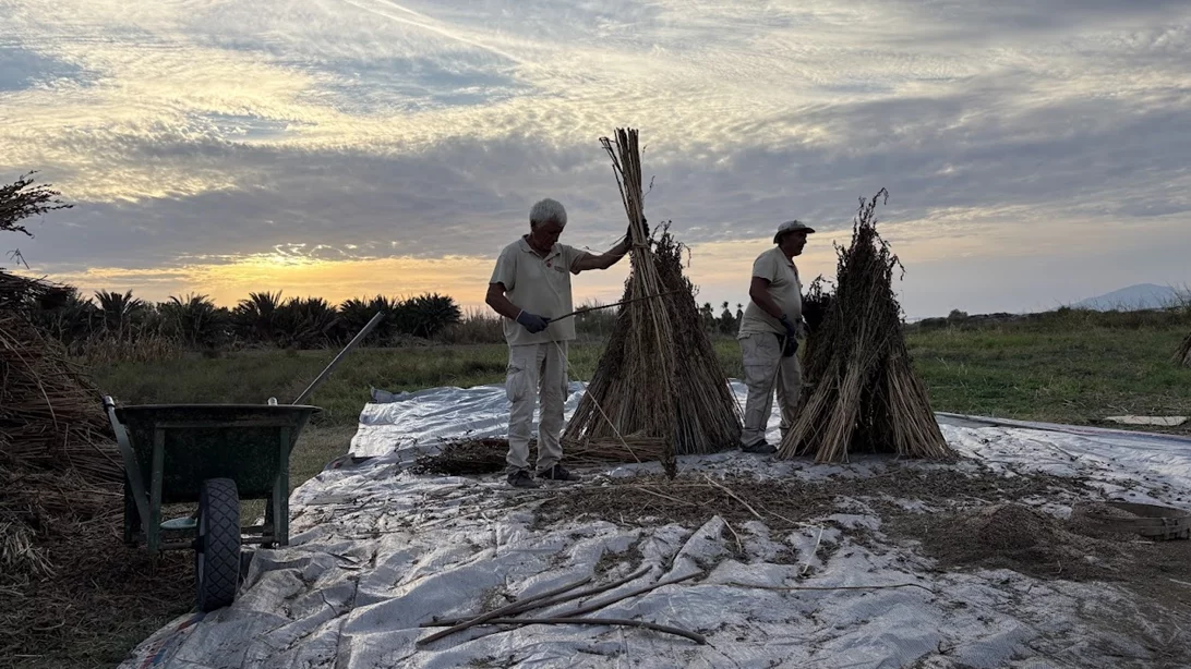 Το Grecotel LUXME Kos φιλοξένησε το 4ο Διεθνές Επιστημονικό Συνέδριο "Ιπποκρατική Παράδοση & Σύγχρονες Εφαρμογές"