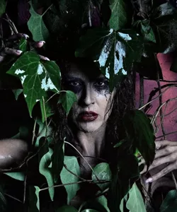 Η Κατσαρίδα Κ.