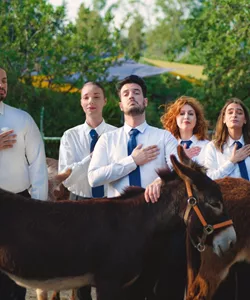 Απάνω στα γαϊδούρια