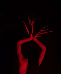 βάιζα