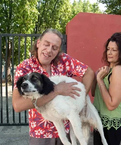 Σκυλίσια ζωή