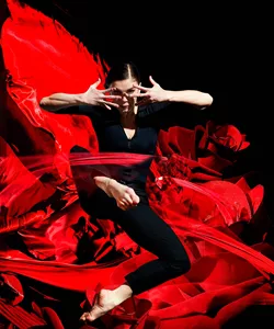 Carmen reimagined