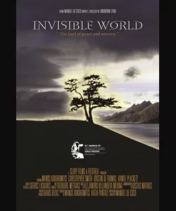 Invisible World