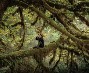 Το Τραγούδι του Δάσους