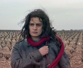 Δίχως Στέγη, Δίχως Νόμο