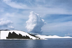 Εικαστικοί διερευνούν τη θεραπευτική ιδιότητα ενός "μεταβατικού αντικειμένου" - εικόνα 3