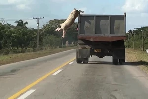 Τρία χρόνια μετά, τι έχει καταφέρει το ΕΜΣΤ; - εικόνα 3
