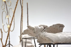 Ένα φωτογραφικό βιβλίο εμπνέεται από τον τρόπο που συνυπάρχουν τα άνθη - εικόνα 1