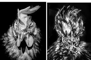 Σε αυτά τα έργα τέχνης γινόμαστε άλλα ζώα - εικόνα 8