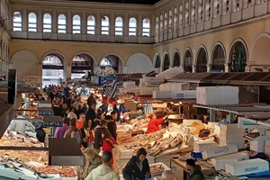 Kardasi Distillery: Μήπως εδώ το Tσίπουρο Τυρνάβου "παίζει" σε άλλη "ένταση"; - εικόνα 9