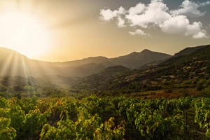 Πόσα ποτήρια κρασί βγάζει μια φιάλη; - εικόνα 1