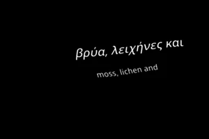 Ξεναγήσεις στις νέες εκθέσεις και "Η Οβάλ Κυρία" στην Εθνική Πινακοθήκη - εικόνα 5