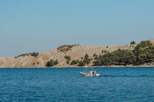 5η Γιορτή Βουνού και Κτηνοτροφίας Χίου: Ενα σαββατοκύριακο γεμάτο παραδόσεις και πολιτισμό - εικόνα 5