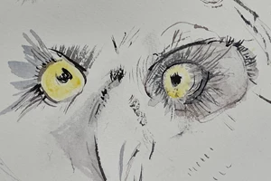 Τα must-see έργα του Μουσείου Αλέκος Φασιανός - εικόνα 12