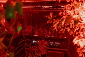 Basswell και William Luck καταλαμβάνουν το "Oddity" - εικόνα 2