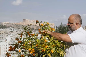 Τα new classics εστιατόρια και μπαρ της Αθήνας - εικόνα 37