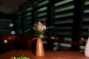 Geco - εικόνα 8