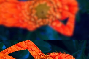 Μια εικαστική εγκατάσταση δείχνει τον πόλεμο μέσα από τη γυναικεία ματιά - εικόνα 3