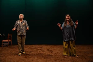 O Charlie Kaufman στη Στέγη - εικόνα 3