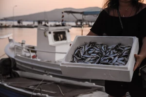 Φεστιβάλ Χίου 2025: Η πολιτιστική γιορτή που ενώνει παράδοση, τέχνη και μέλλον - εικόνα 2