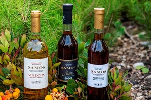 Sky express: Νέο απευθείας δρομολόγιο Αθήνα-Λυών, κάθε πότε θα πραγματοποιείται - εικόνα 2