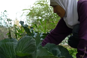 Όλες οι κριτικές των νέων ταινιών της εβδομάδας - εικόνα 1