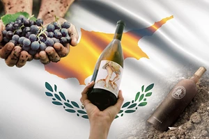 Όλα όσα θα έπρεπε να γνωρίζεις για το Ξινόμαυρο - εικόνα 4