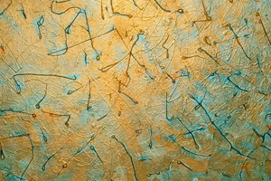 Η Κυψέλη αποκτά νέο χώρο τέχνης και φιλοξενεί την έκθεση "Homecoming" - εικόνα 3