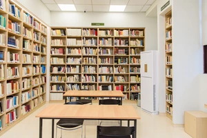 Το Ολυμπιακό Μουσείο γιορτάζει τη Γιορτή της Μητέρας με Ελληνίδες Ολυμπιονίκες - εικόνα 3