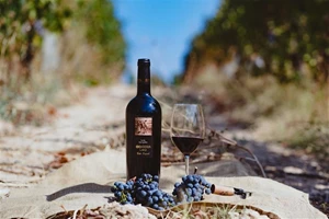 Τα κρασιά του Χριστουγεννιάτικου τραπεζιού - εικόνα 7