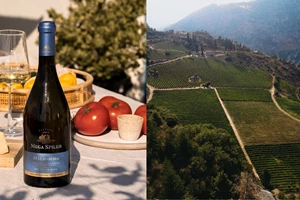 Τα κρασιά που κάνουν τον oβελία να "υποκλιθεί" και τα Do & Dont’s από τον Γιώργο Ζερβογιάννη - εικόνα 5