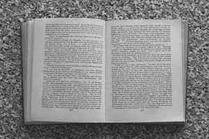 Η Έλενα Ματρούτσου παρουσιάζει τον "Κήπο τον Φυγάδων" από τις εκδόσεις Ίκαρος - εικόνα 3