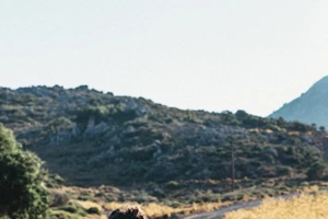 Ρεσιτάλ κιθάρας από τον Νίκο Μπαλογιάννη: Μια μουσική αναδρομή στις νότες του χρόνου - εικόνα 3