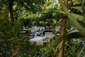 Zolotas Beach - εικόνα 10