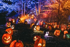 Ραντεβού στο Craft It για τα πιο Spooky Halloween εργαστήρια - εικόνα 3